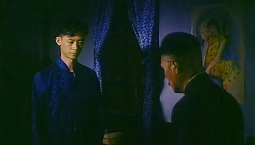 国产剧情片,情感交织，时代印记  第2张