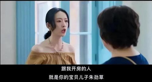 国产开房,揭秘中国住宿业的创新与变革 第2张 国产开房,揭秘中国住宿业的创新与变革 第2张