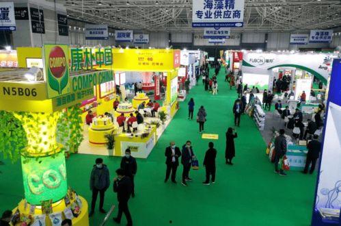 国产二十一区,二十一区影视产业的崛起与展望  第1张